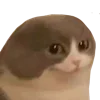🙂