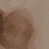 🤎