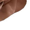 🤎