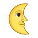 🌚