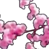 🌸