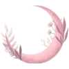 🌙