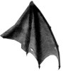 🦇