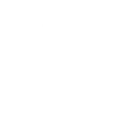 💊