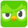 🦉