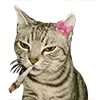 🐈‍⬛