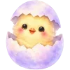 🐣