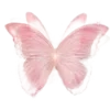 🦋