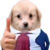 👍