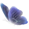 🦋