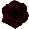 🥀