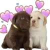 🥰