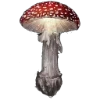 🍄
