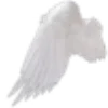 🕊