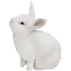 🐇