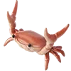 🦀