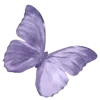 💜