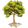 🌳