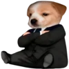 😎