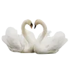 🦢