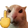 🖕