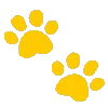 💛