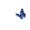 〰️