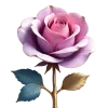 🌷