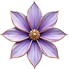 🌺
