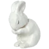 🐇