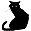 🐈‍⬛