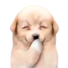 ☺️