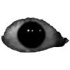 👁️