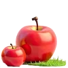 🍎