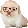 🤓