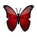🦋