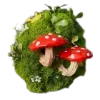 🍄