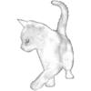 🐈