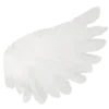 🦢