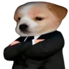 😎