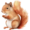 🐿️