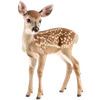 🦌