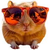 😎