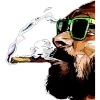💨