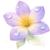 🌸