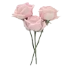 🥀