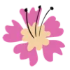 🌺