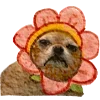 🐕