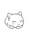 🐱