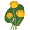 🌻